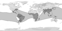 Distribution mondiale des Bambous